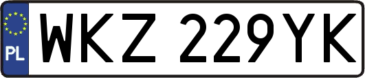 WKZ229YK