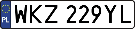 WKZ229YL