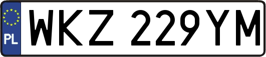 WKZ229YM