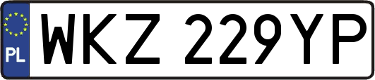WKZ229YP