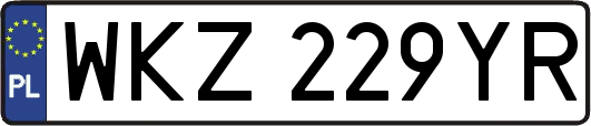 WKZ229YR