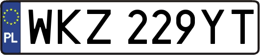 WKZ229YT
