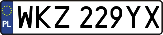 WKZ229YX