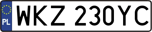 WKZ230YC