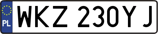 WKZ230YJ