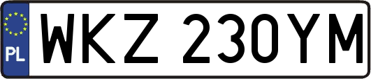 WKZ230YM