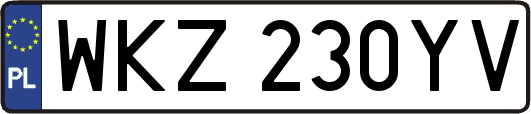 WKZ230YV