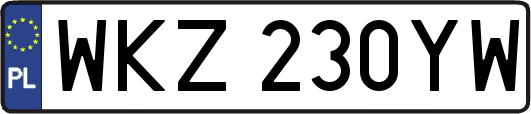 WKZ230YW
