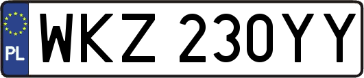 WKZ230YY