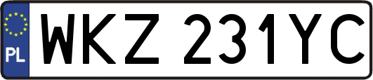WKZ231YC