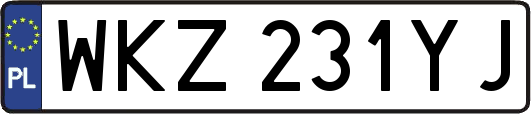 WKZ231YJ