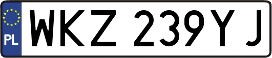 WKZ239YJ