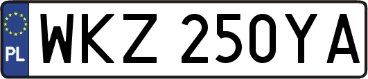 WKZ250YA