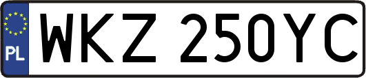 WKZ250YC