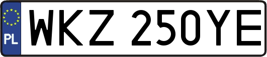 WKZ250YE