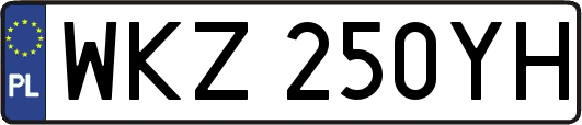 WKZ250YH
