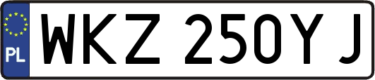 WKZ250YJ