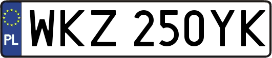 WKZ250YK
