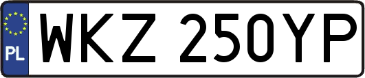 WKZ250YP