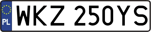 WKZ250YS