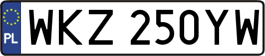 WKZ250YW