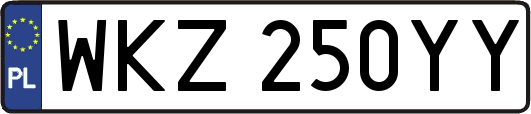 WKZ250YY