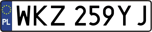 WKZ259YJ