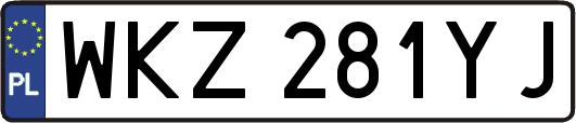 WKZ281YJ