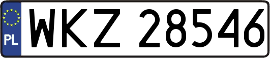 WKZ28546