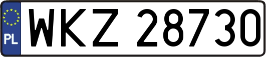 WKZ28730