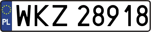 WKZ28918