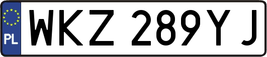 WKZ289YJ