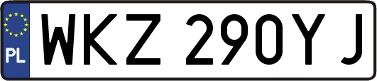 WKZ290YJ