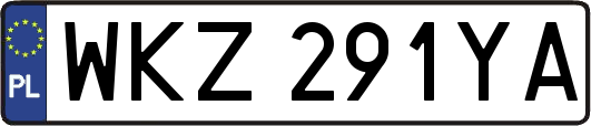 WKZ291YA
