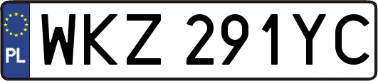 WKZ291YC