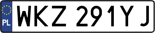 WKZ291YJ