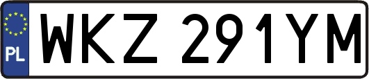 WKZ291YM