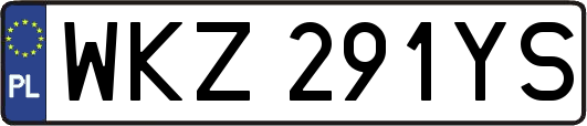 WKZ291YS