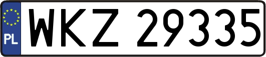 WKZ29335
