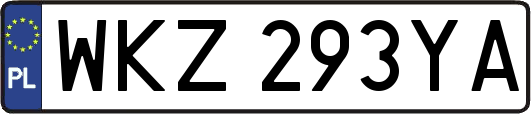 WKZ293YA