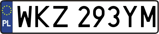 WKZ293YM