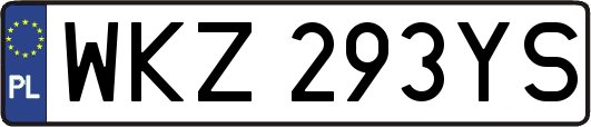 WKZ293YS