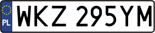 WKZ295YM