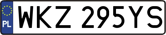 WKZ295YS
