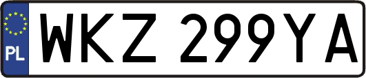 WKZ299YA
