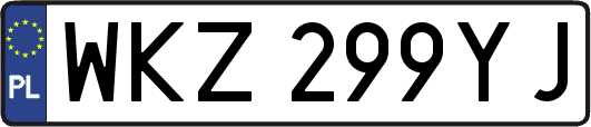 WKZ299YJ
