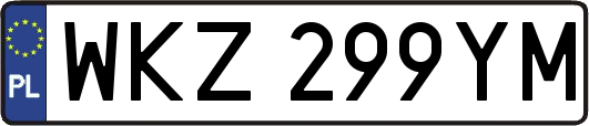 WKZ299YM