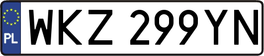 WKZ299YN