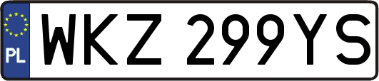 WKZ299YS