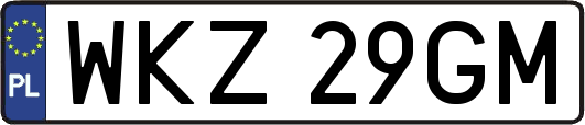 WKZ29GM